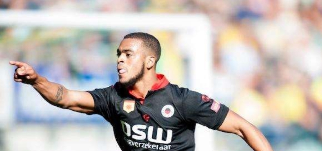 了新的优势 了新的优势